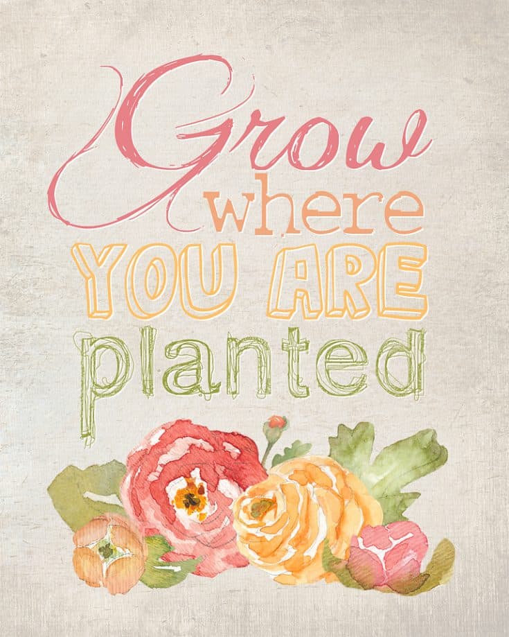 FREE PRINTABLE - Grow where you are planted