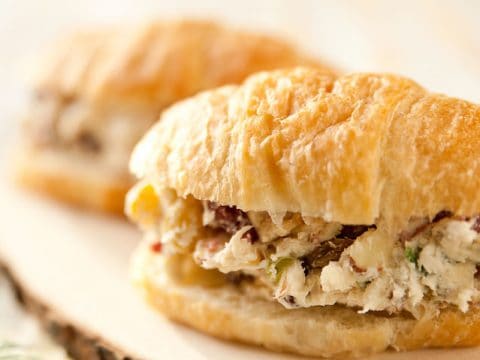 https://www.thecreativebite.com/wp-content/uploads/2014/12/Cranberry-Feta-Almond-Chicken-Salad-Sandwich-3-480x360.jpg