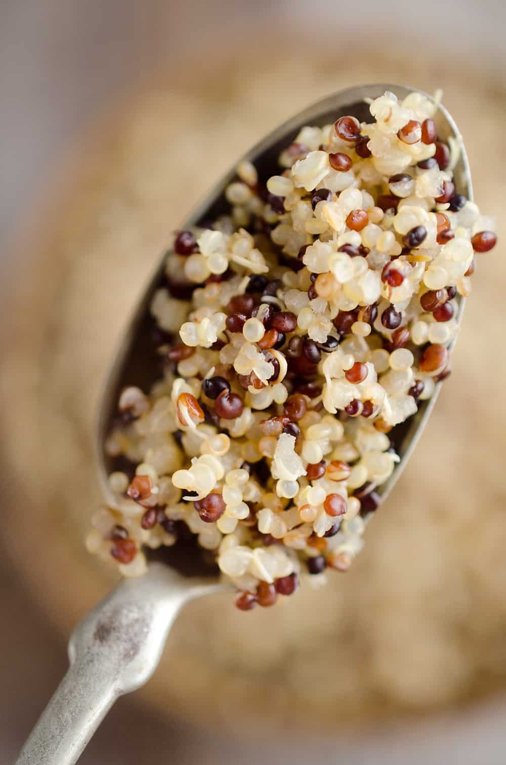 https://www.thecreativebite.com/wp-content/uploads/2017/04/Easiest-Fluffy-Quinoa-Recipe-Pressure-Cooker-The-Creative-Bite-2-copy.jpg