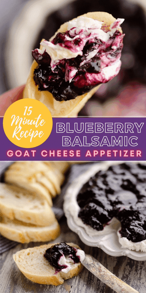 Blueberry Balsamic Goat Cheese Appetizer 15 Minute Recipe