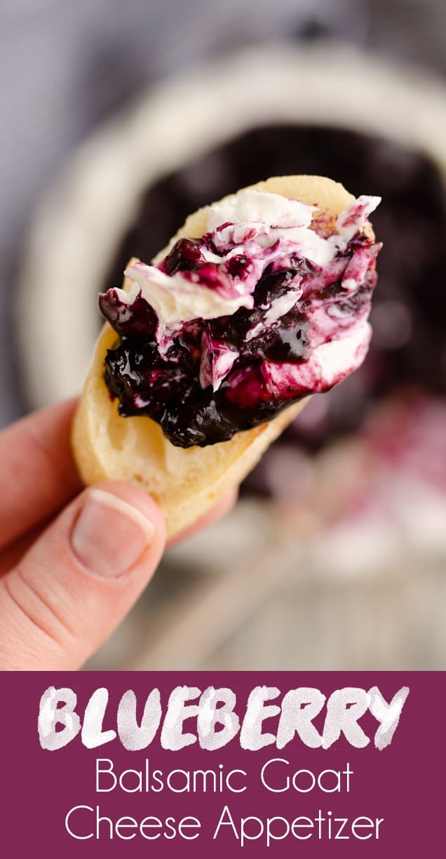 Blueberry Balsamic Goat Cheese Appetizer 15 Minute Recipe