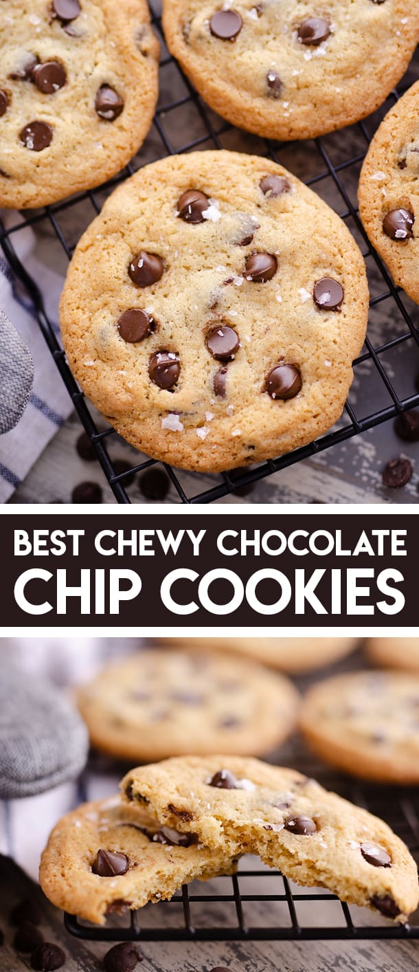 Best Chewy Chocolate Chip Cookie Recipe