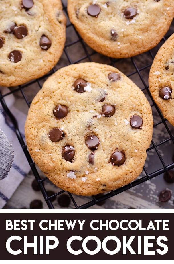 Best Chewy Chocolate Chip Cookie Recipe