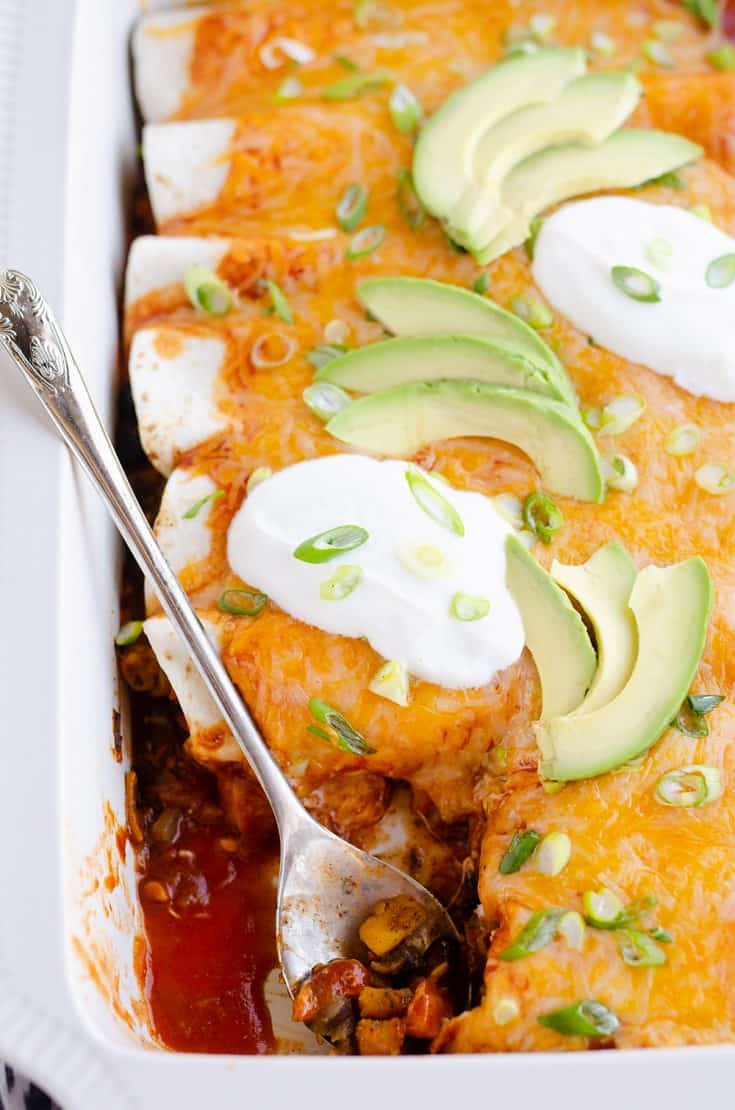 Black Bean & Squash Vegetarian Enchiladas