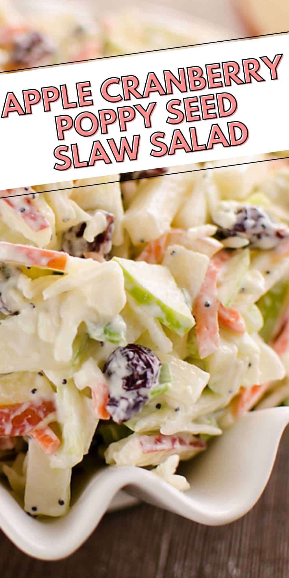 Apple Cranberry Poppy Seed Slaw Salad 5583