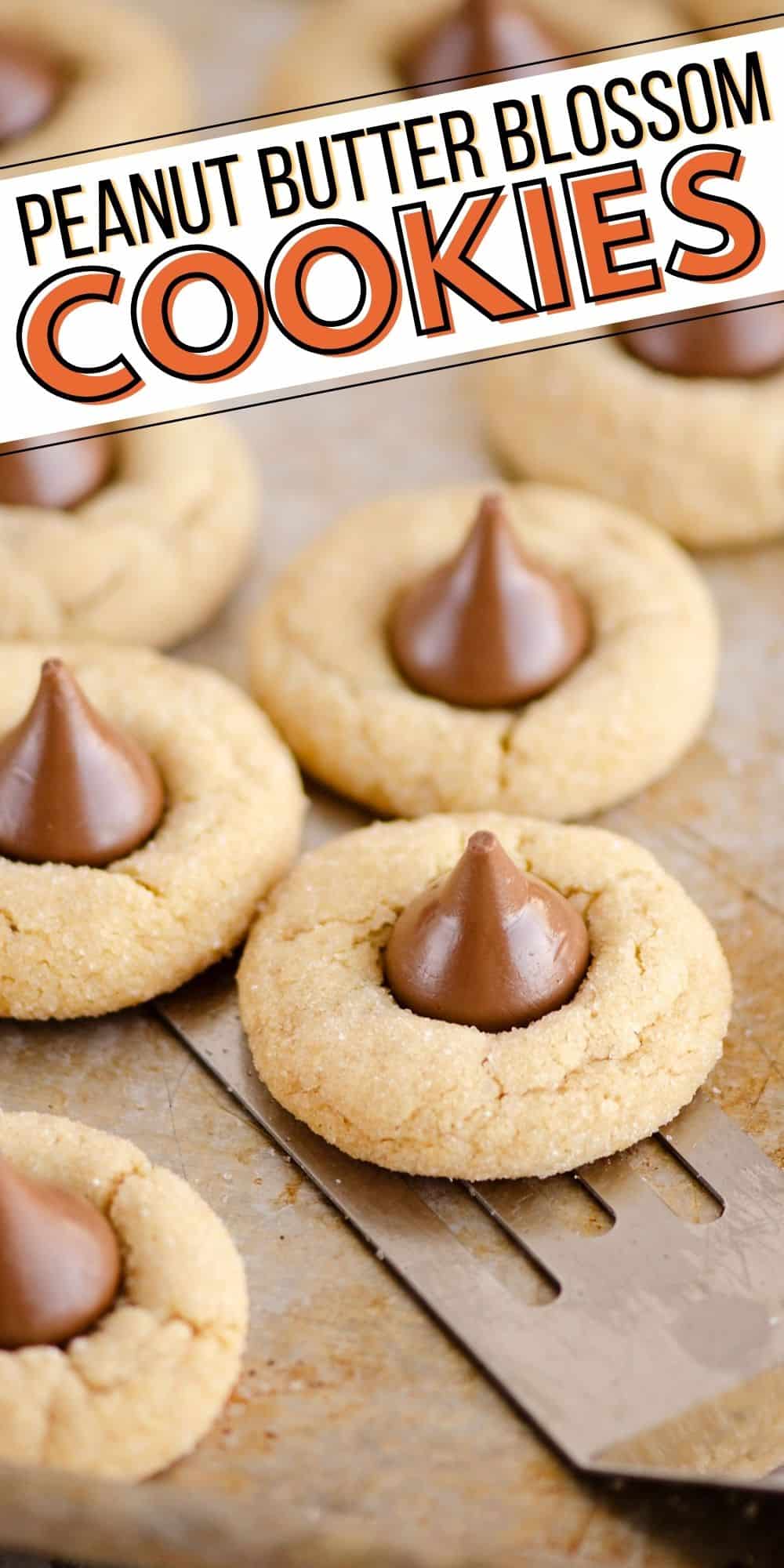 Peanut Butter Blossom Cookies