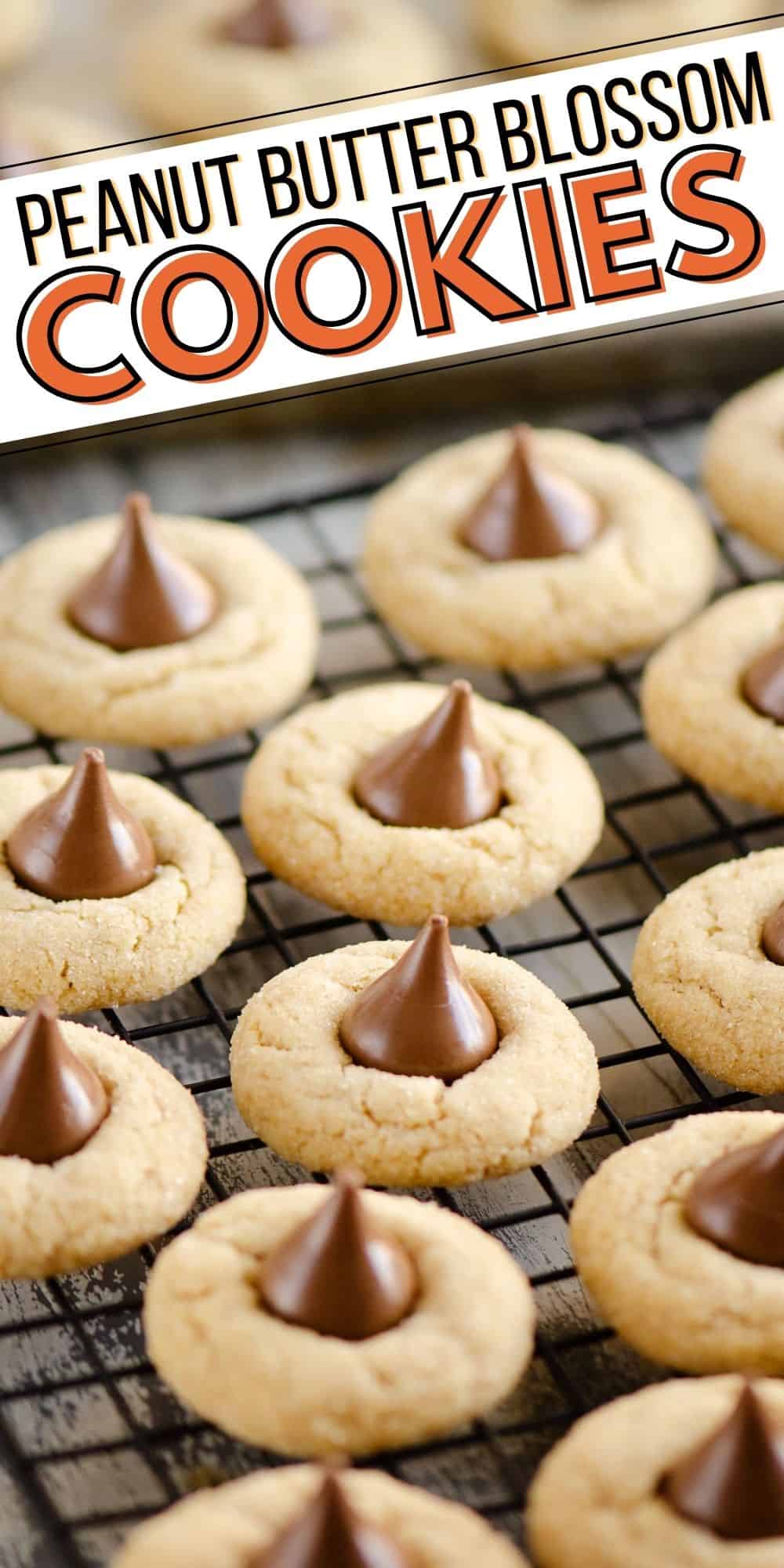 Peanut Butter Blossom Cookies