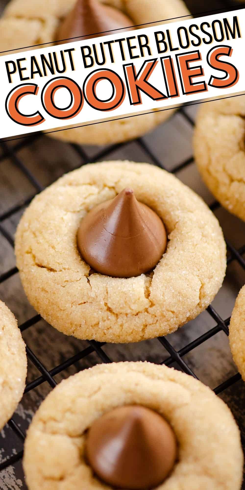 Peanut Butter Blossom Cookies