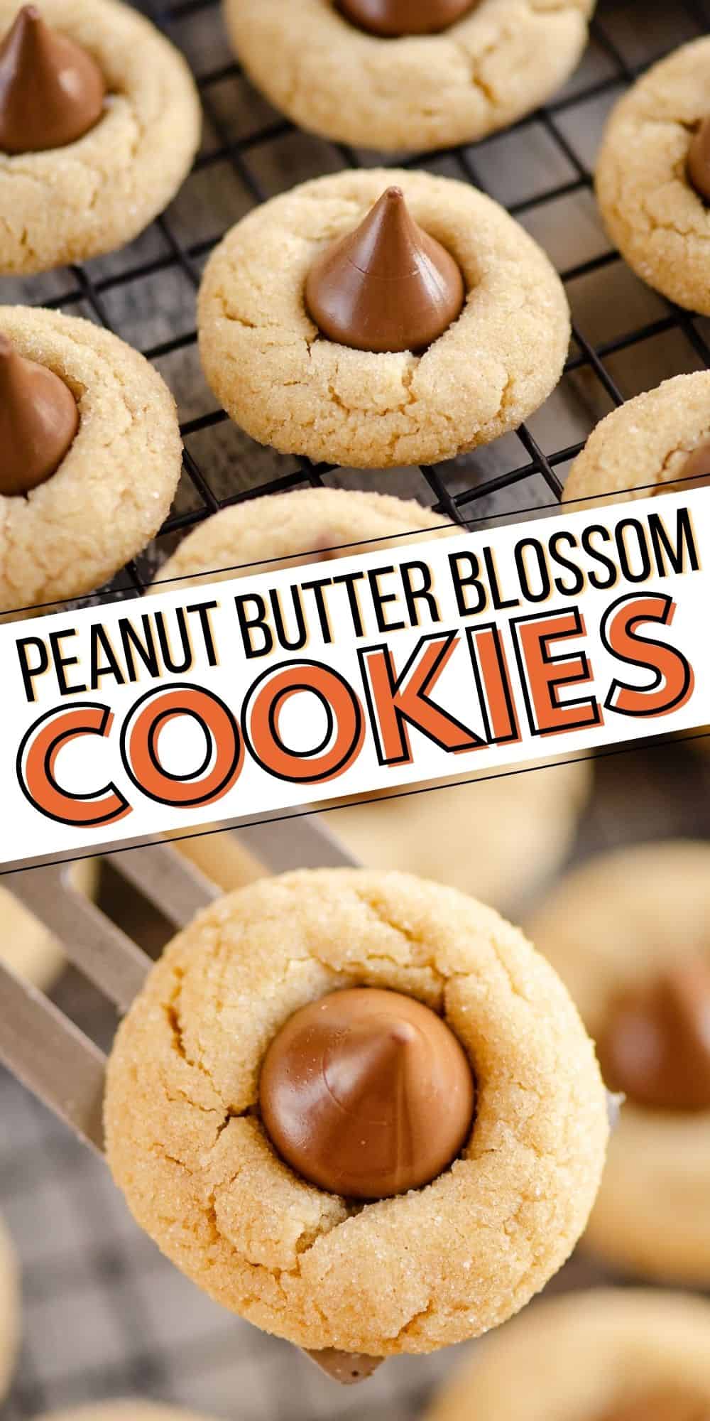 Peanut Butter Blossom Cookies