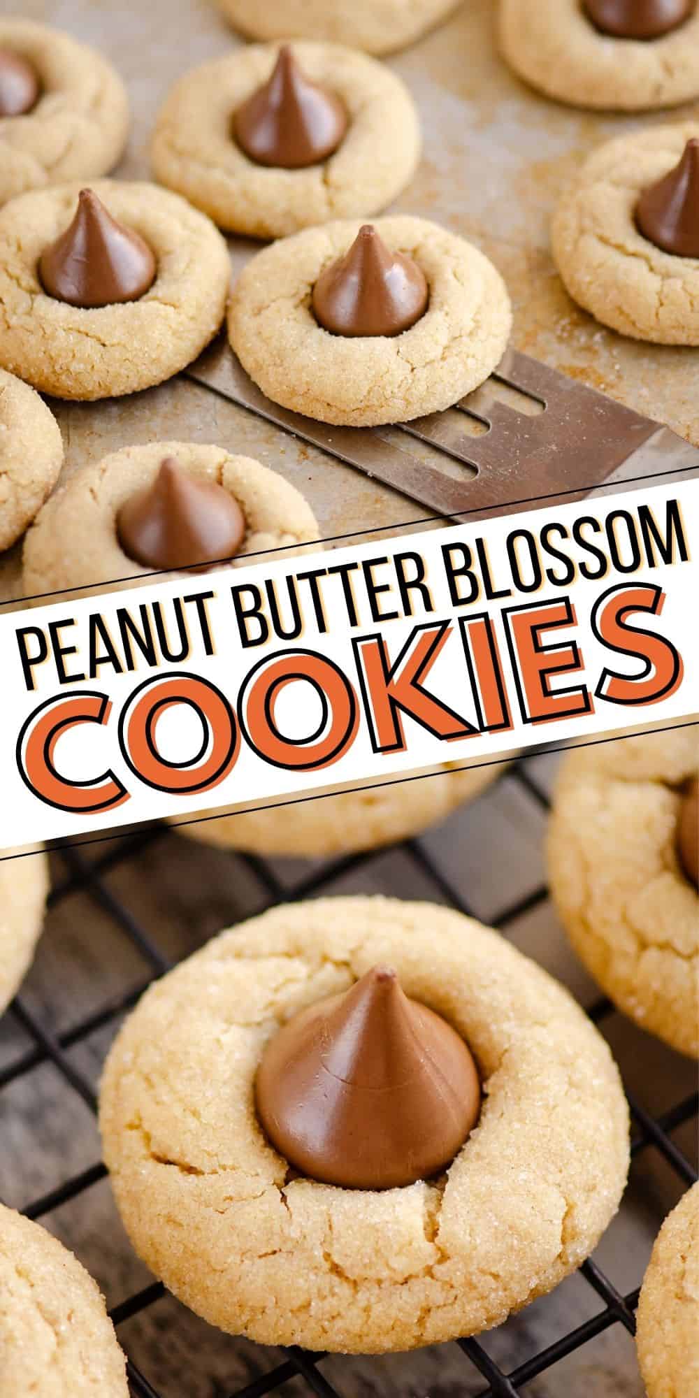 Peanut Butter Blossom Cookies