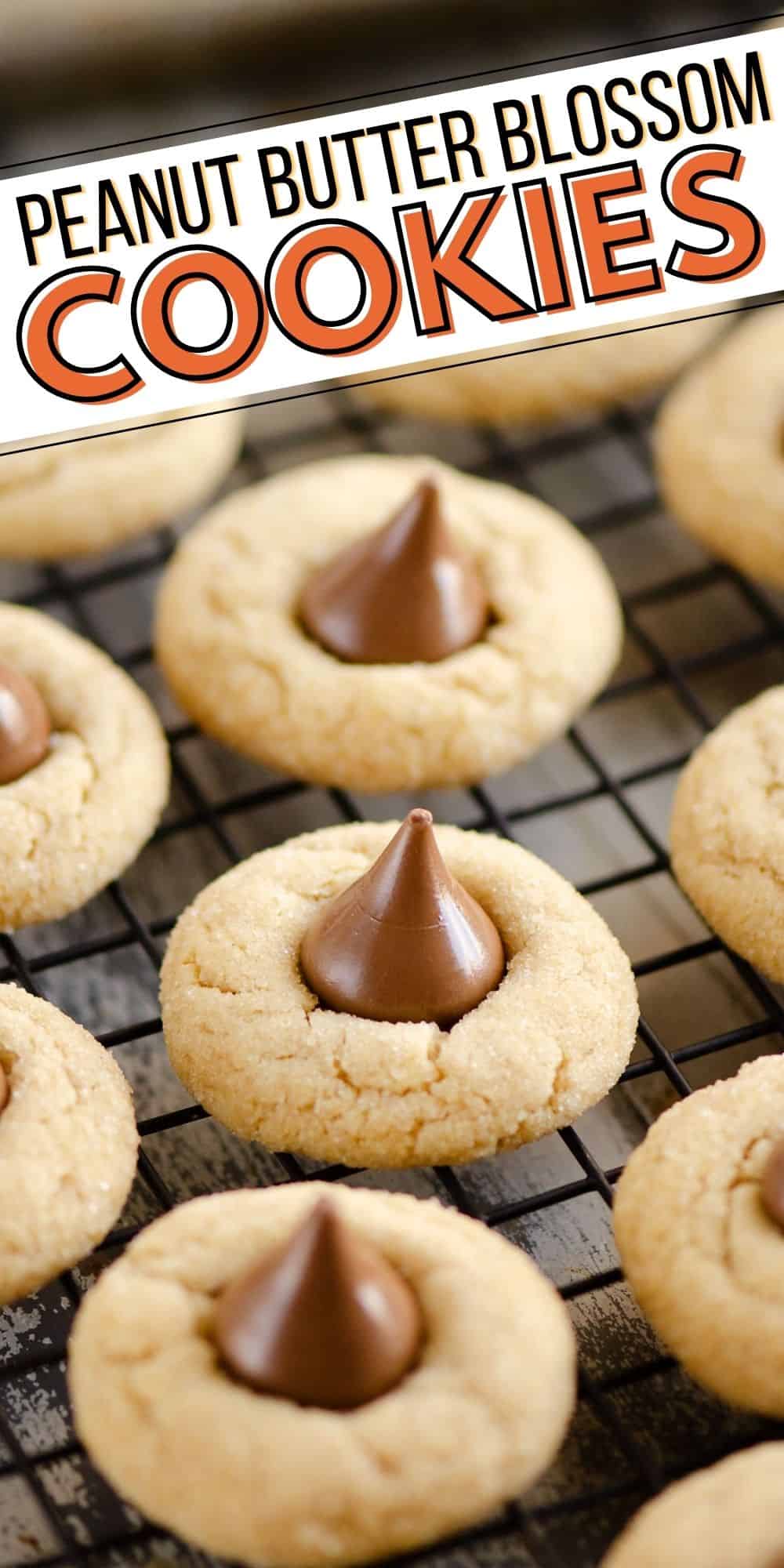 Peanut Butter Blossom Cookies