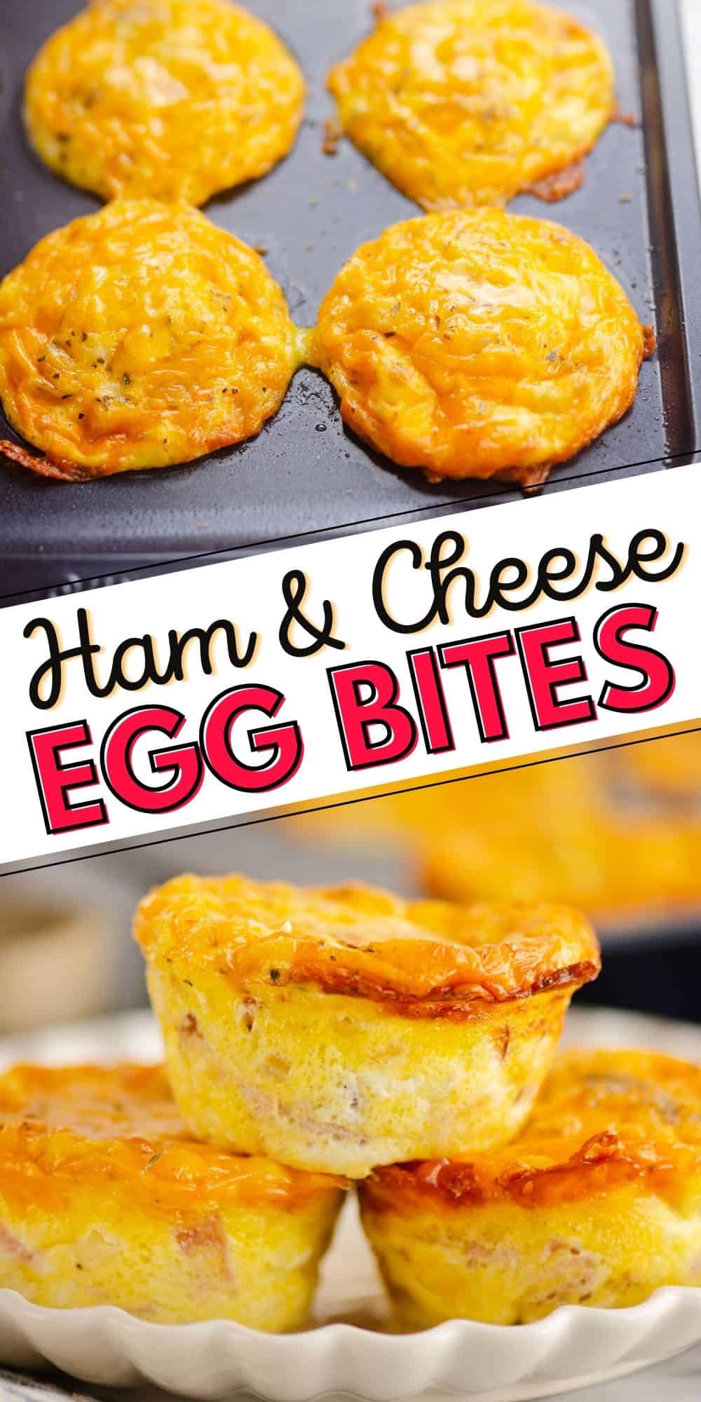 Ham & Cheese Egg Bites